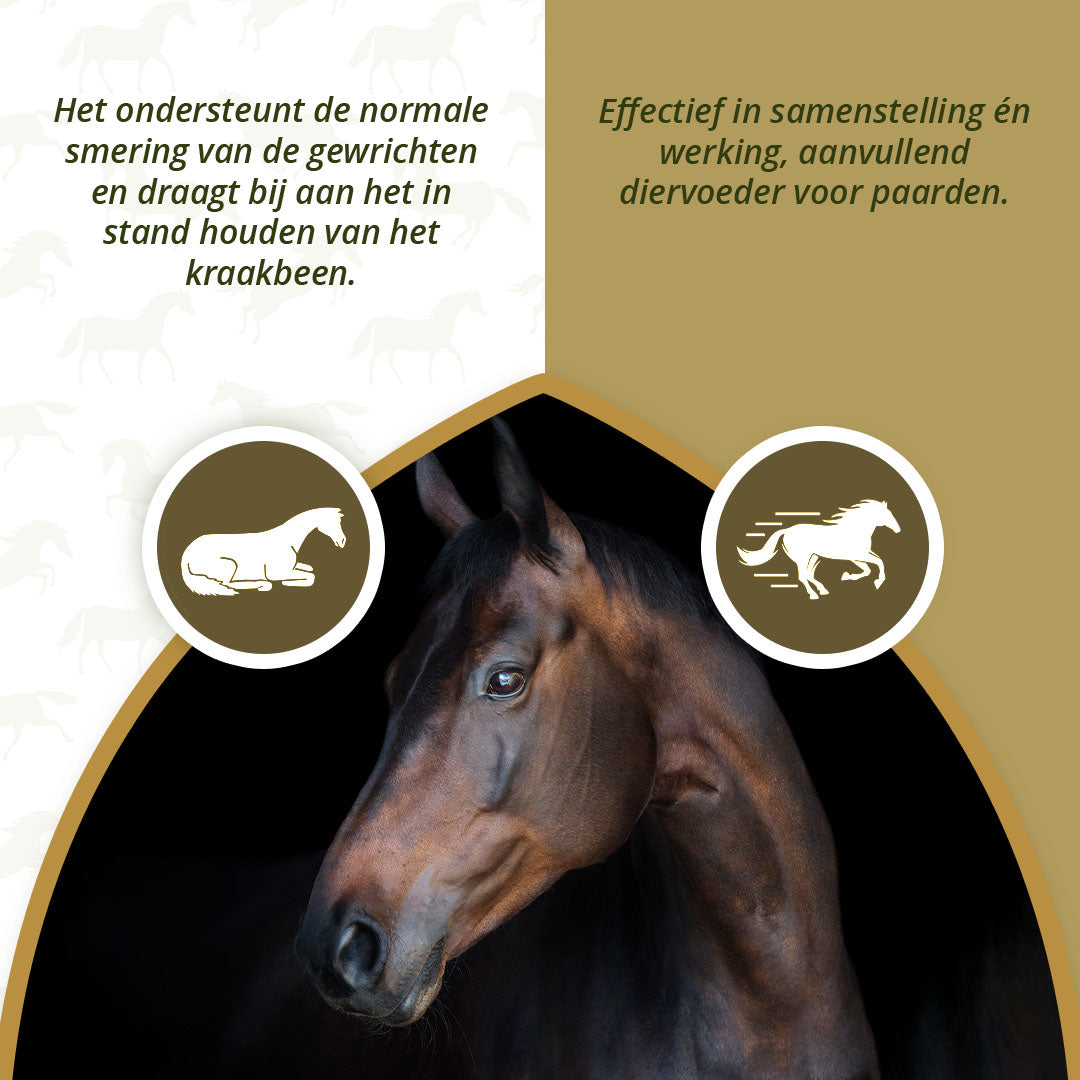 Excellent Horse Mobility Plus 2 kg