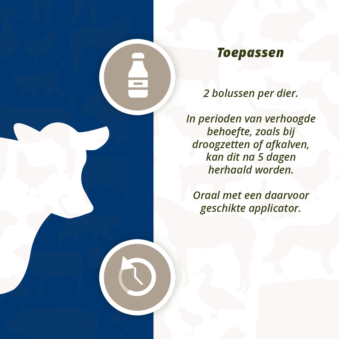 Direct Udder Support 4 x 60 g