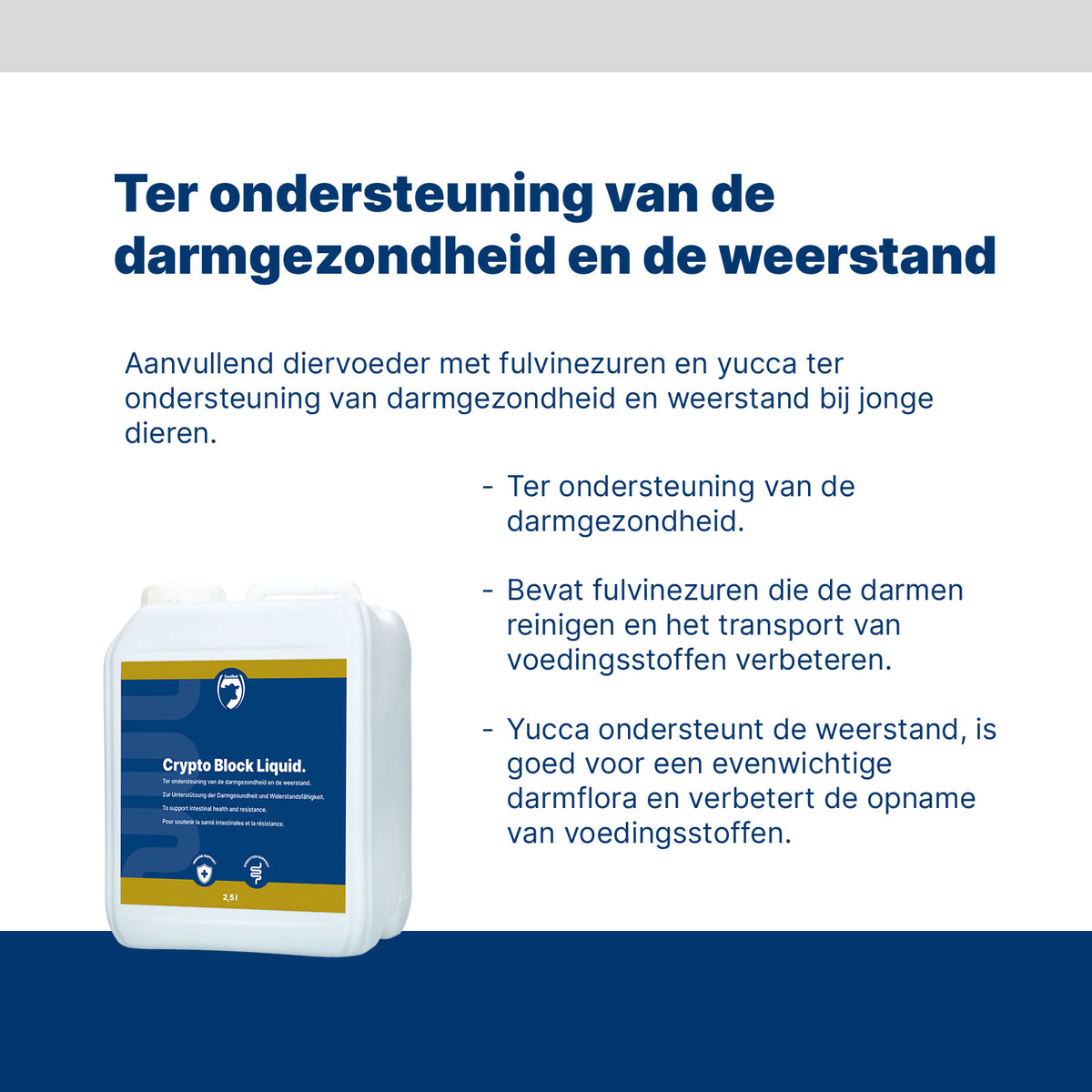 Excellent Crypto Block Liquid 2,5L