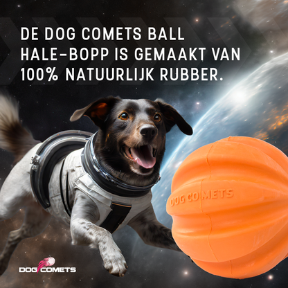 Dog Comets Swift Tuttle Met Touw Oranje