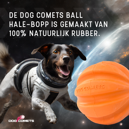 Dog Comets Swift Tuttle Oranje