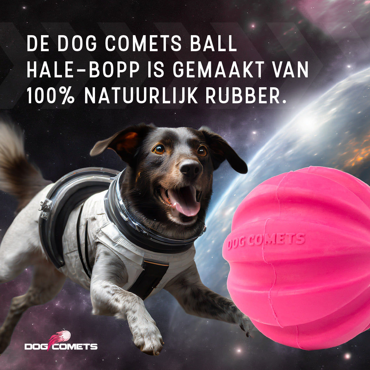 Dog Comets Halley Roze