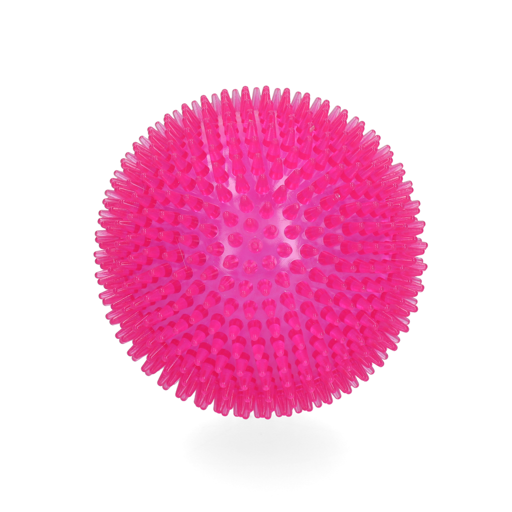 Dog Comets Exoplanet Egelbal L Roze