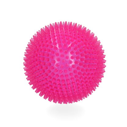 Dog Comets Exoplanet Egelbal L Roze