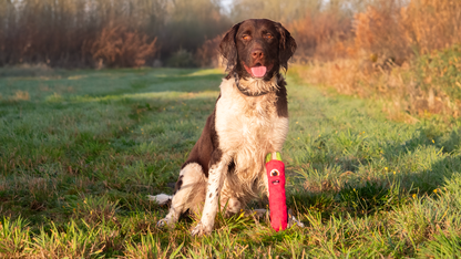Dog Comets Invaders Groen M