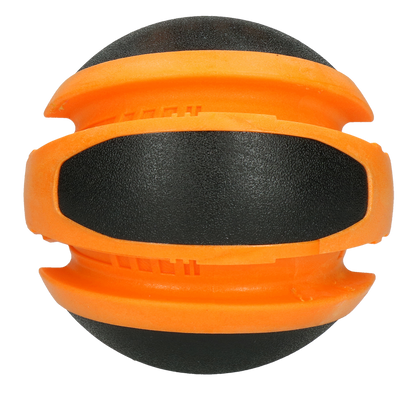 Dog Comets Planets Oranje