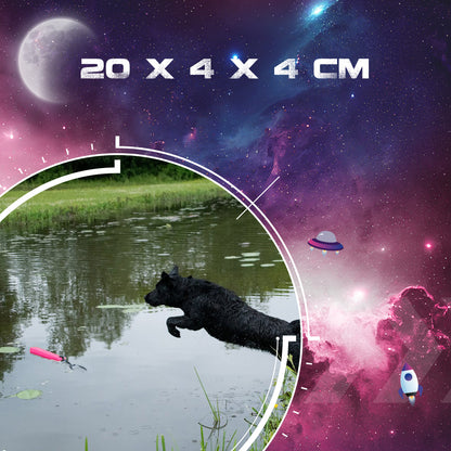 Dog Comets Orion Roze