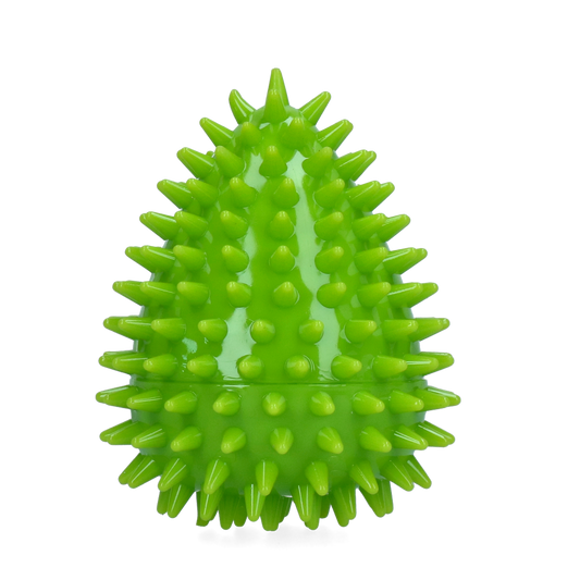 Dog Comets Cosmic Egg Groen M