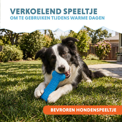 Coolpets Ice Bone