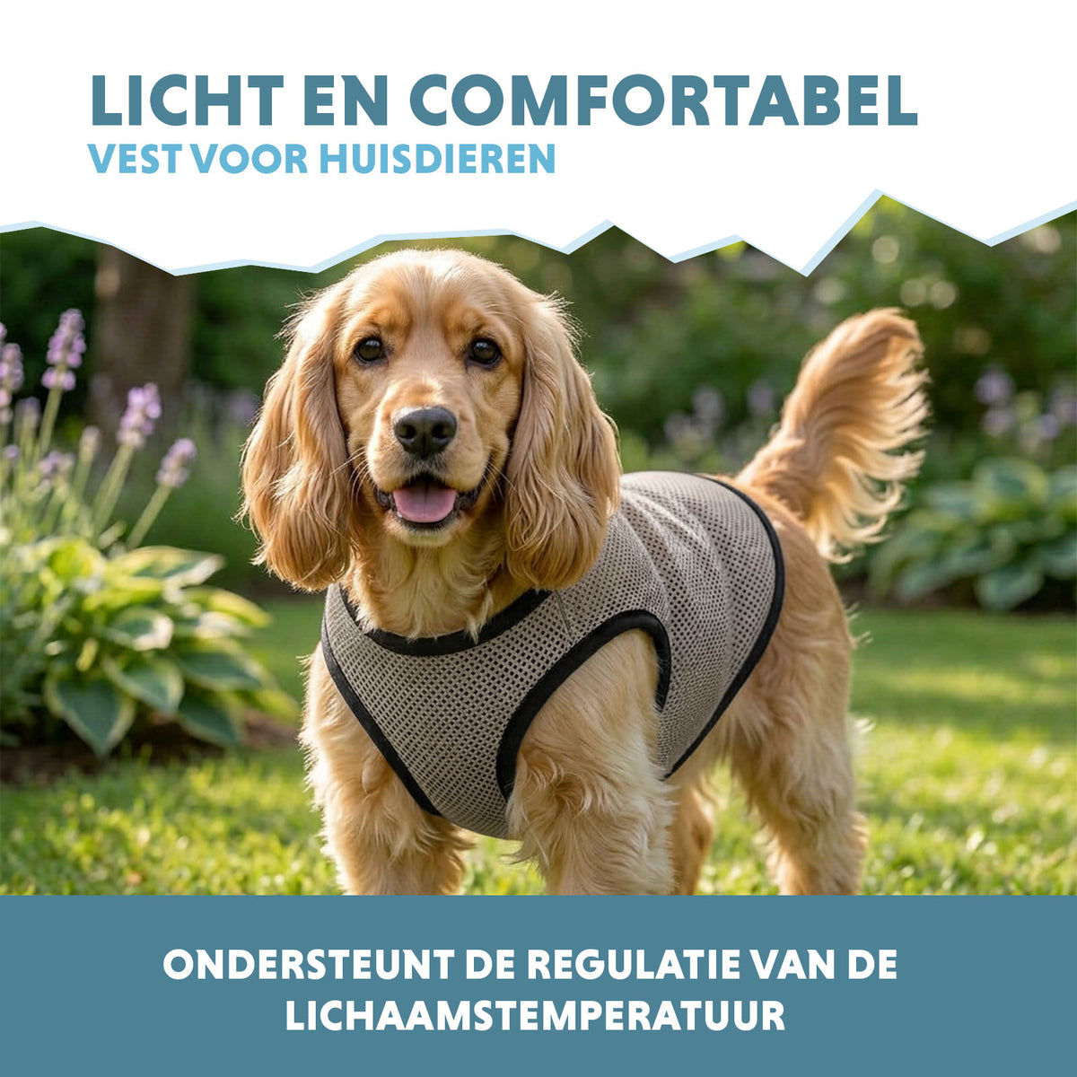 Coolpets Cooling Vest M (back size 30 cm)