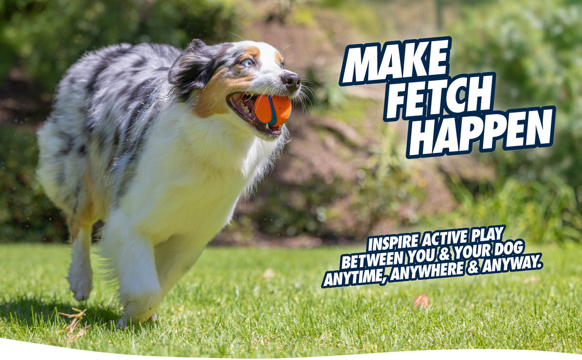 Chuckit! Fetch Ball M