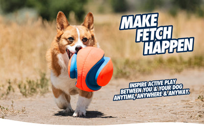 Chuckit! Kick Fetch Dog S