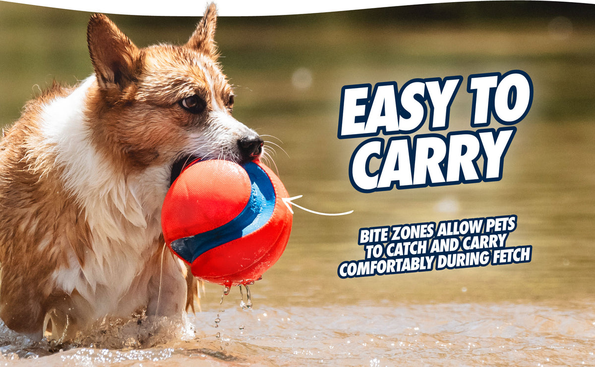 Chuckit! Kick Fetch Dog S