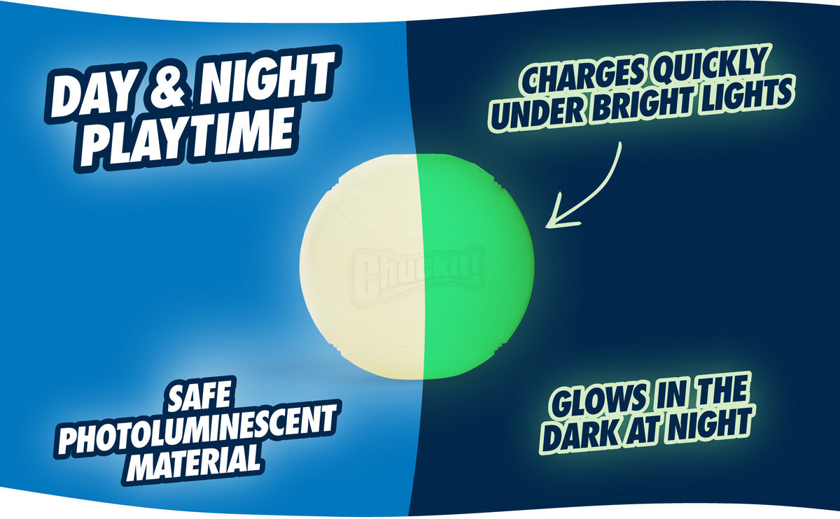 Chuckit! Max Glow L