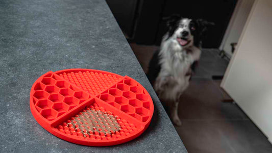 Eat Slow Live Longer Lick Mat Dimensions Circle Rood