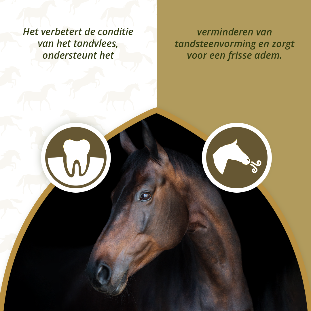 Excellent Horse Dental Care 1 kg
