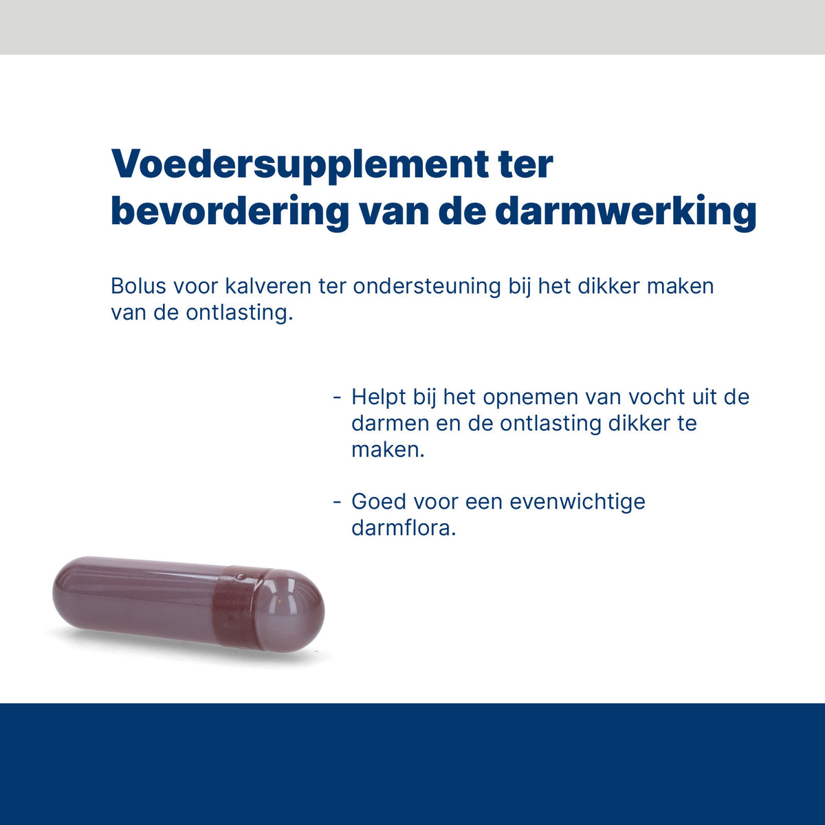 Excellent Euro-Vital Bolus 24 x 10 g
