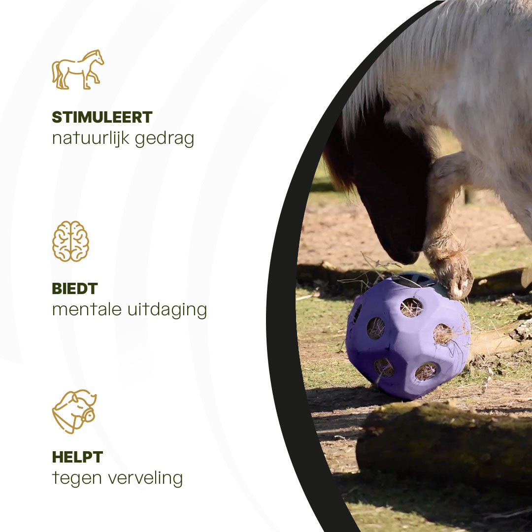 Excellent Horse Feed & Play Ball Paars