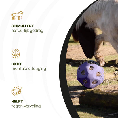 Excellent Horse Feed & Play Ball Paars