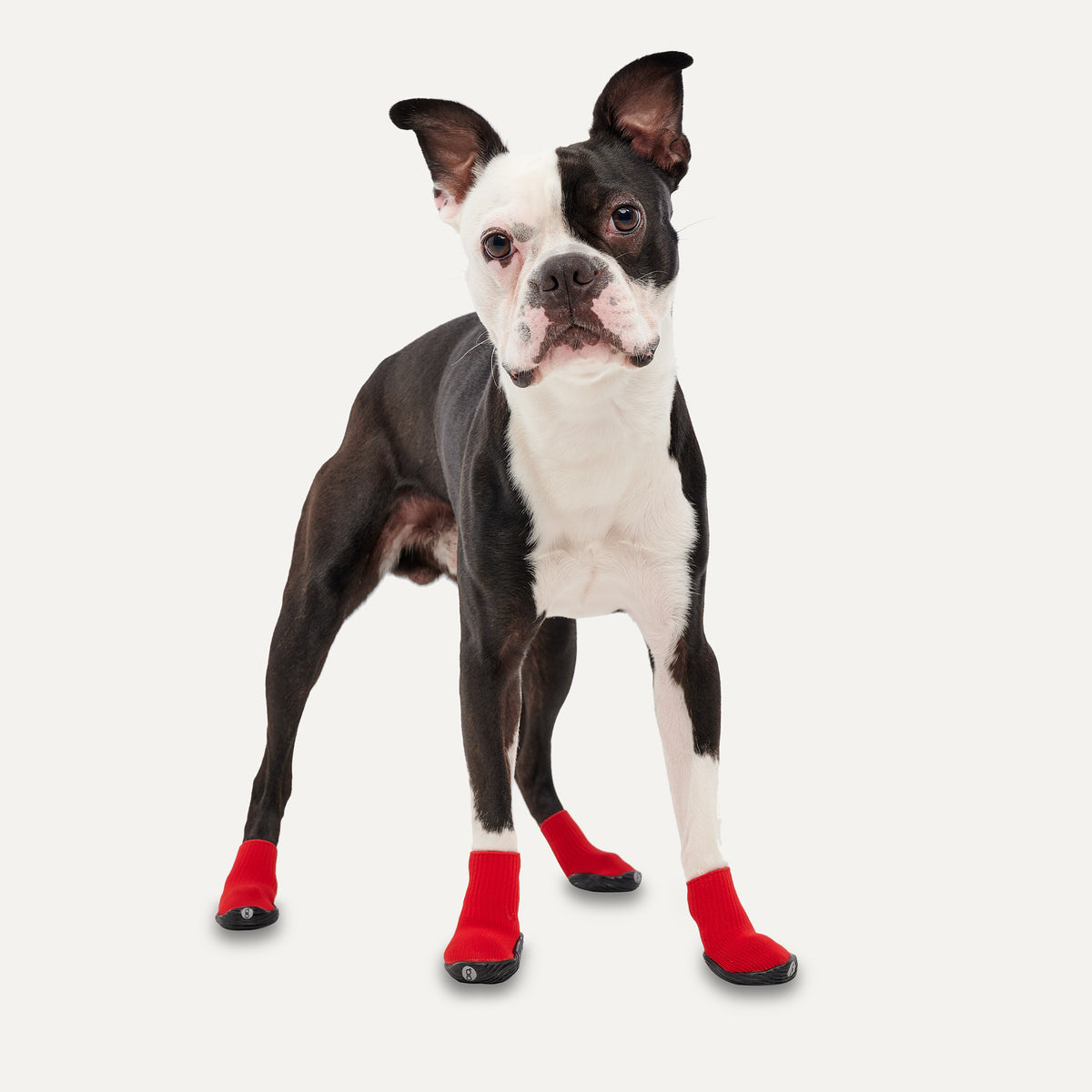Goo-eez Dog Boots Ultras 2 Per Pack XXS Rood/Zwart
