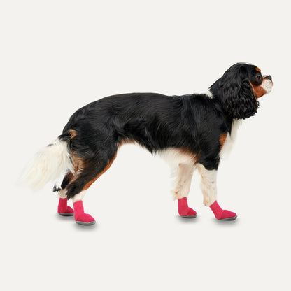 Goo-eez Dog Boots Lites 4 Per Pack XXS Rood/Zwart