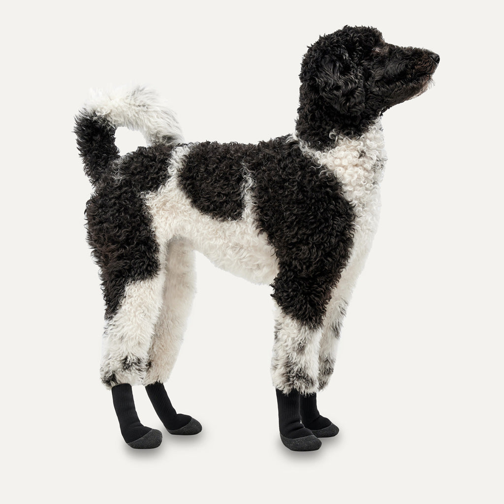 Goo-eez Dog Boots Lites 4 Per Pack M Camo/Zwart