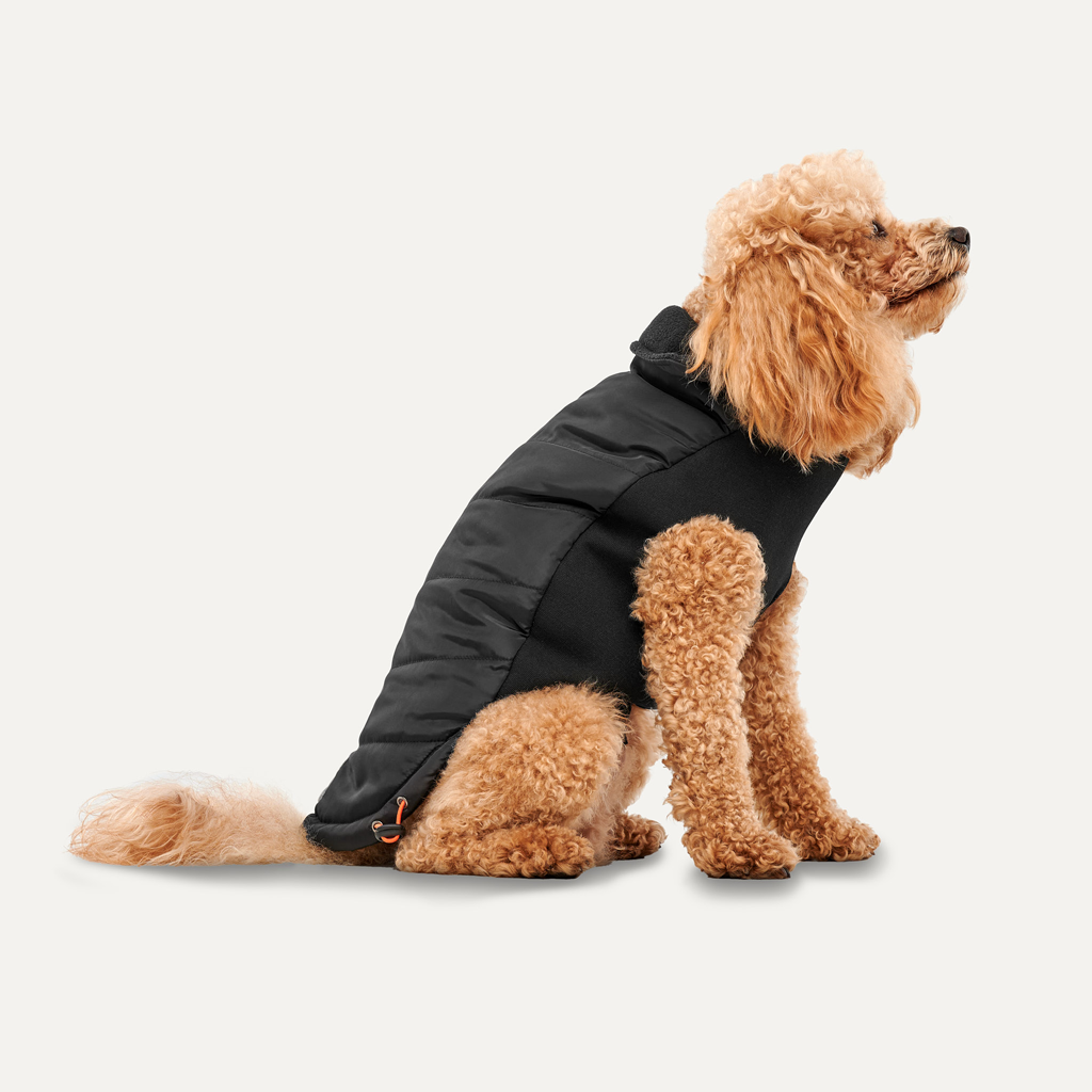 Goo-eez Mock Neck Signature Wrap Jacket M Zwart