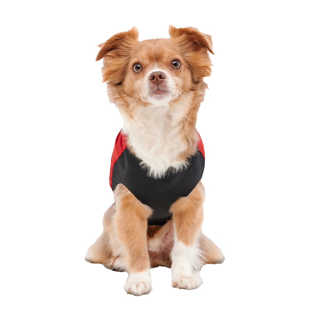 Goo-eez Mock Neck Signature Wrap Jacket XXS Rood/Zwart