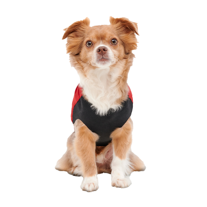 Goo-eez Mock Neck Signature Wrap Jacket XXS Rood/Zwart