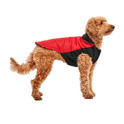 Goo-eez Mock Neck Signature Wrap Jacket M Rood/Zwart