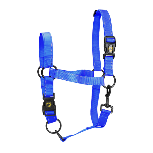 Excellent Premium Halster Blauw S
