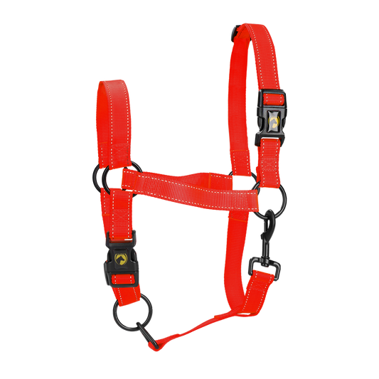 Excellent Premium Halster Rood M
