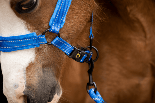 Excellent Superior Halster Blauw XS
