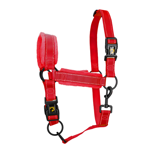 Excellent Superior Halster Rood L
