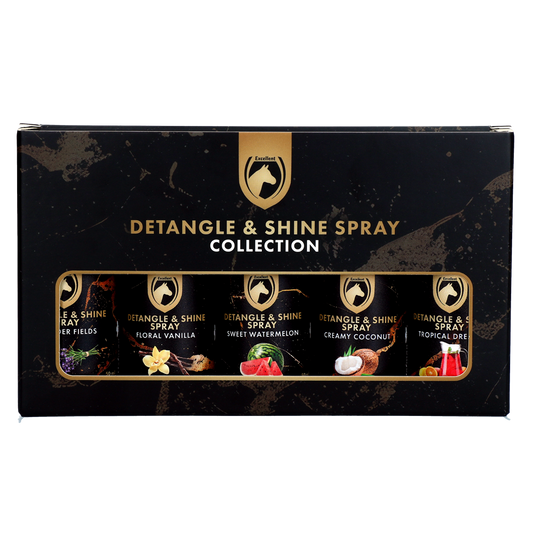 Detangle & Shine Spray Geschenkset 5 x 50 ML