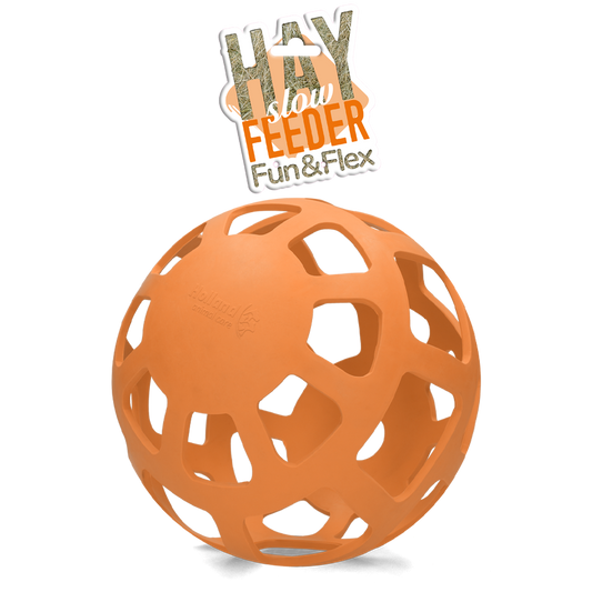 Hay Slow Feeder Fun & Flex Oranje