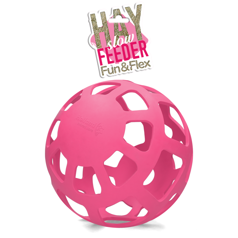 Hay Slow Feeder Fun & Flex Roze