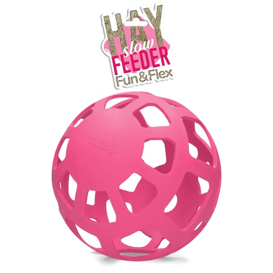 Hay Slow Feeder Fun & Flex Roze