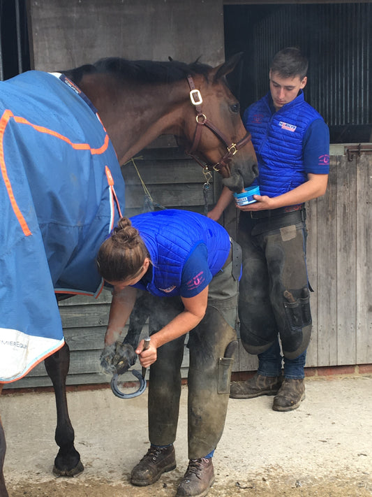 Horslyx Mini Knoflook