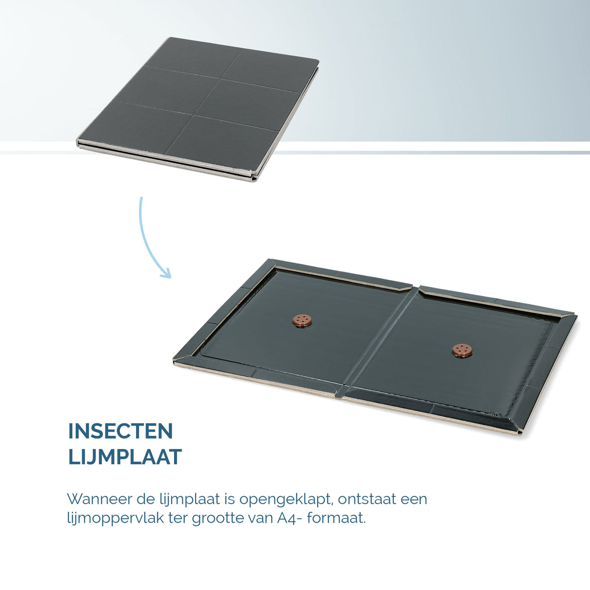 Insecten Lijmplaat Zwart
