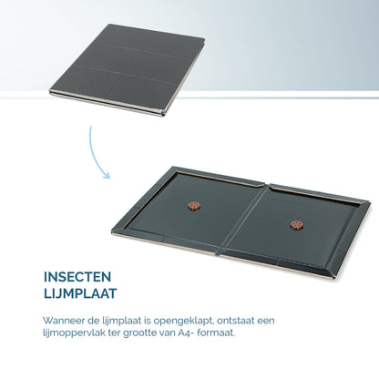 Insecten Lijmplaat Zwart