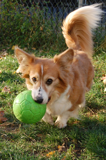 Jolly Soccer Ball Groen S (15 cm)