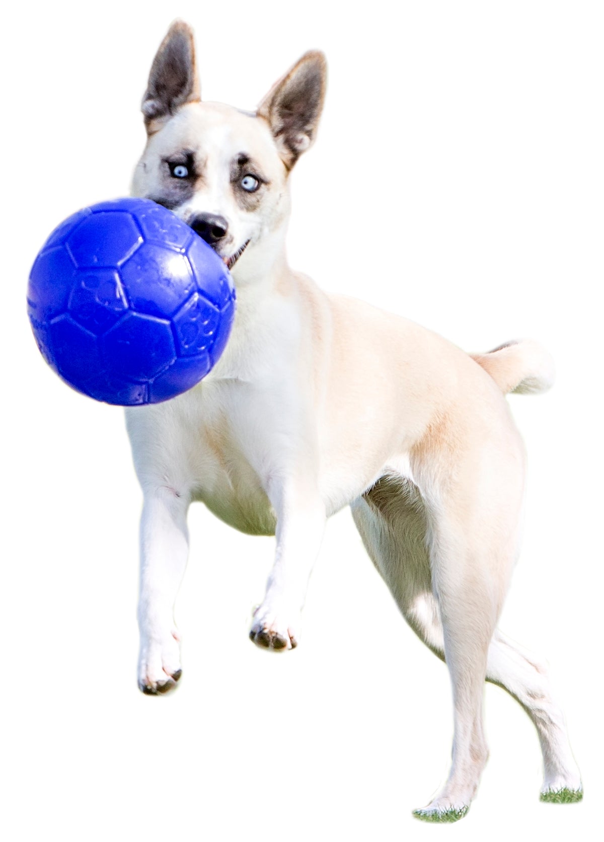 Jolly Soccer Ball Lichtblauw S (15 cm)