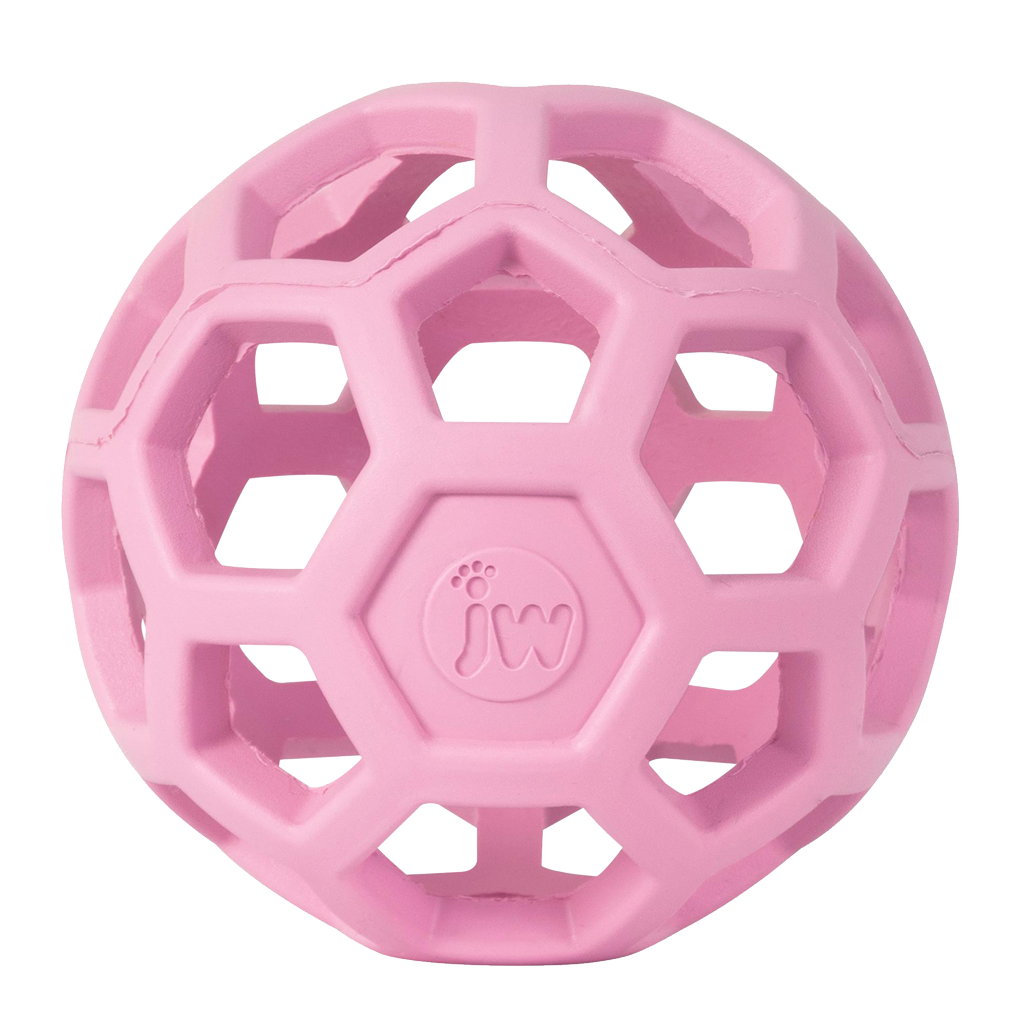 JW Hol-ee Roller Small Pink