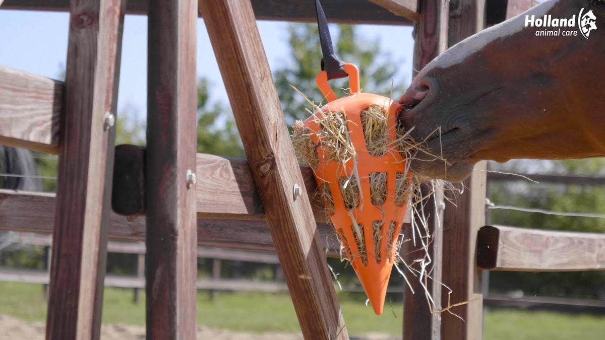 Hay Slow Feeder Fun & Flex Carrot Oranje