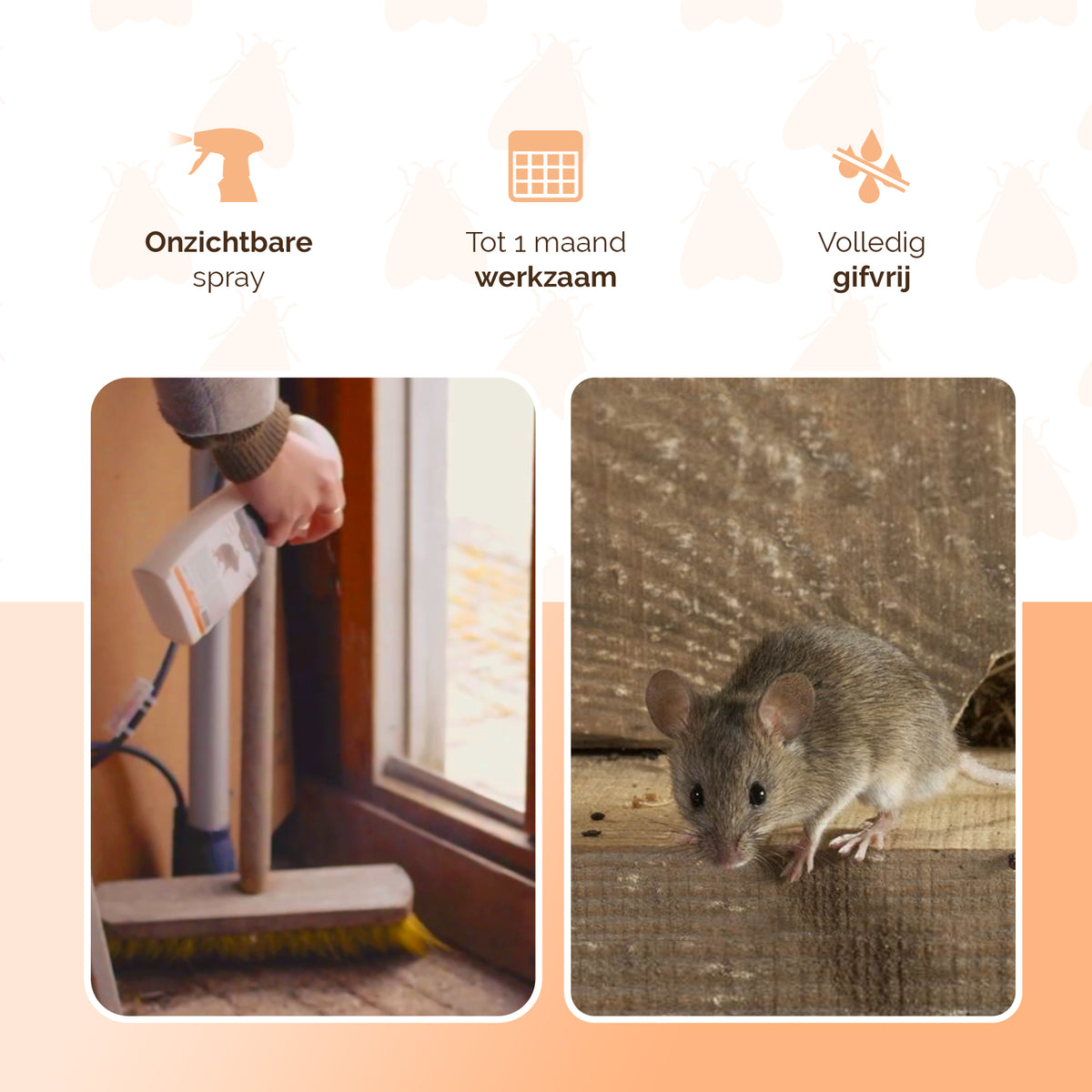 Knock Pest BlijfWeg Muis