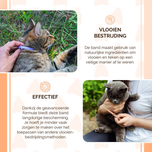 Knock Pest Vlooien/Tekenband Kat 33 cm NL/FR