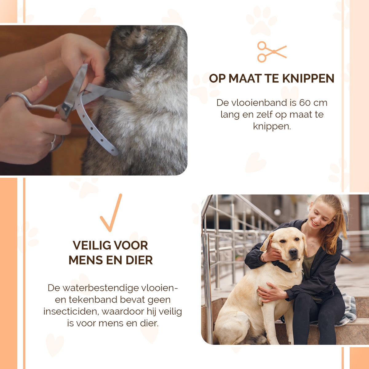 Knock Pest Vlooien/Tekenband Hond 59 cm DE/UK