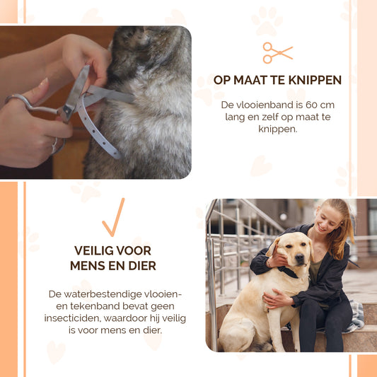 Knock Pest Vlooien/Tekenband Hond 59 cm NL/FR