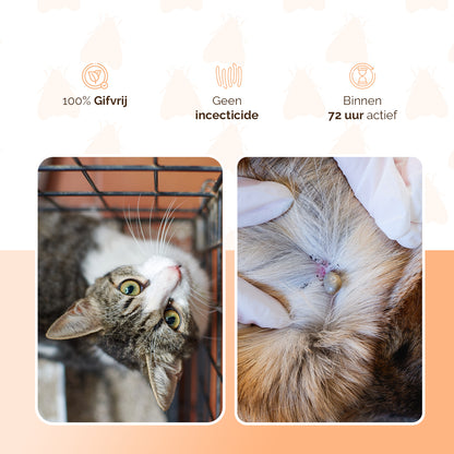 Knock Pest vlooien-tekenpipet Kat DE/UK